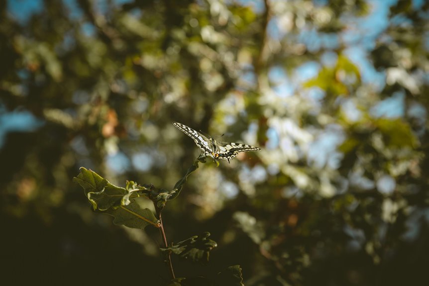 driftlume aether gardens codes