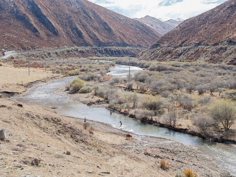 explore lilylamb99 s activities