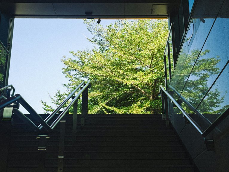 full description provided here