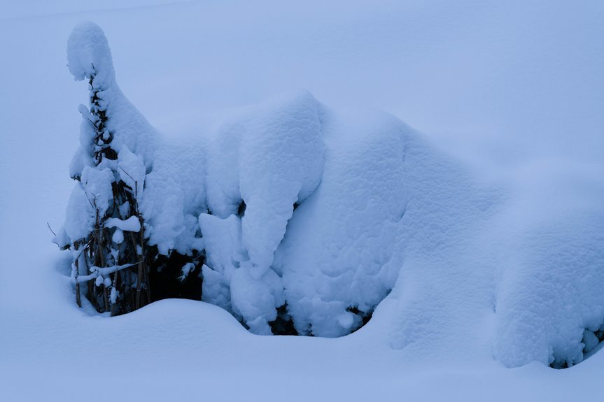 opalspire drift sanctuaries coordinates