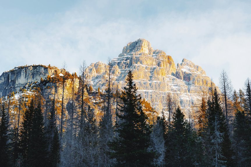 national green tribunal updates