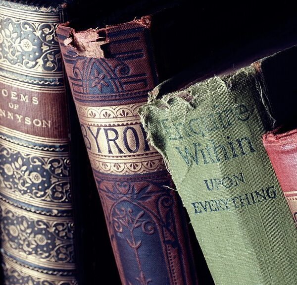 Poetryseries Writers Library 8053218829 Creative Verse Platform